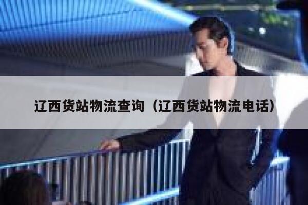 辽西货站物流查询（辽西货站物流电话） 第1张