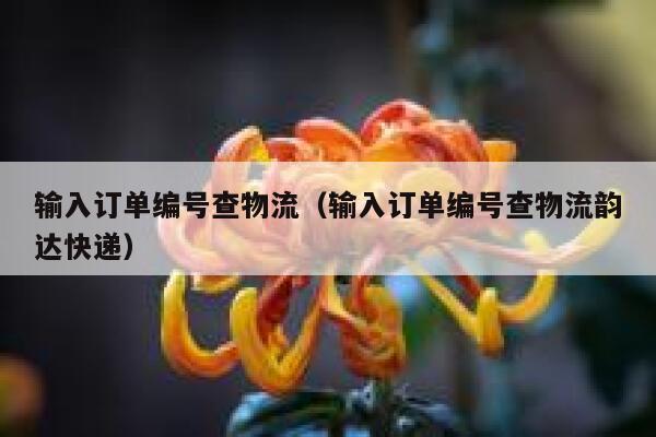输入订单编号查物流（输入订单编号查物流韵达快递） 第1张