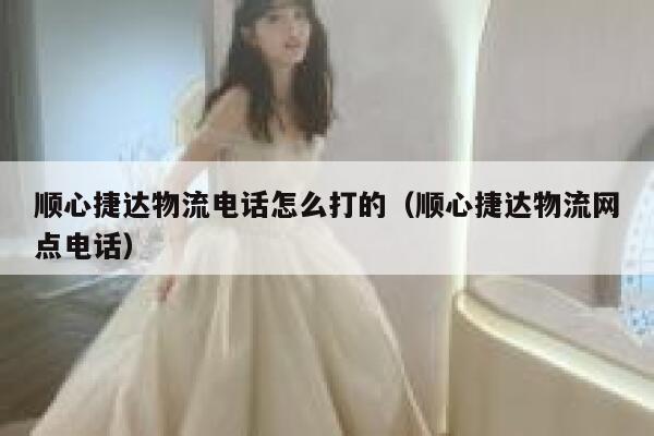 顺心捷达物流电话怎么打的(顺心捷达物流网点电话) 第1张 顺心捷达物流电话怎么打的(顺心捷达物流网点电话) 第1张