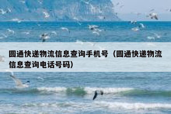圆通快递物流信息查询手机号(圆通快递物流信息查询电话号码) 第1张 圆通快递物流信息查询手机号(圆通快递物流信息查询电话号码) 第1张