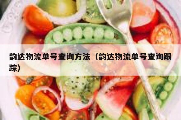 韵达物流单号查询方法（韵达物流单号查询跟踪） 第1张