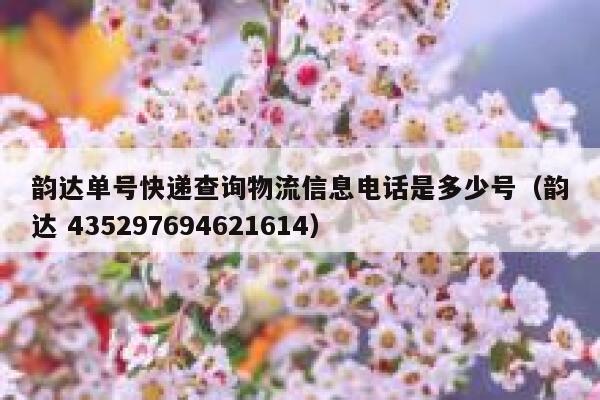 韵达单号快递查询物流信息电话是多少号（韵达 435297694621614） 第1张