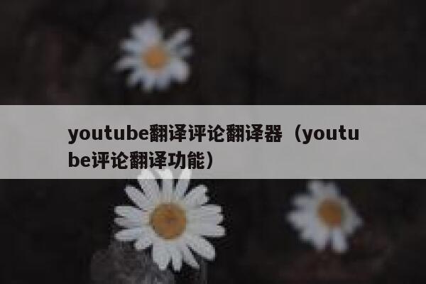 youtube翻译评论翻译器(youtube评论翻译功能) 第1张 youtube翻译评论翻译器(youtube评论翻译功能) 第1张