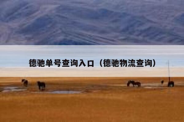 德驰单号查询入口（德驰物流查询） 第1张