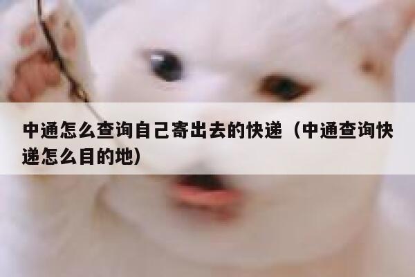 中通怎么查询自己寄出去的快递(中通查询快递怎么目的地) 第1张 中通怎么查询自己寄出去的快递(中通查询快递怎么目的地) 第1张