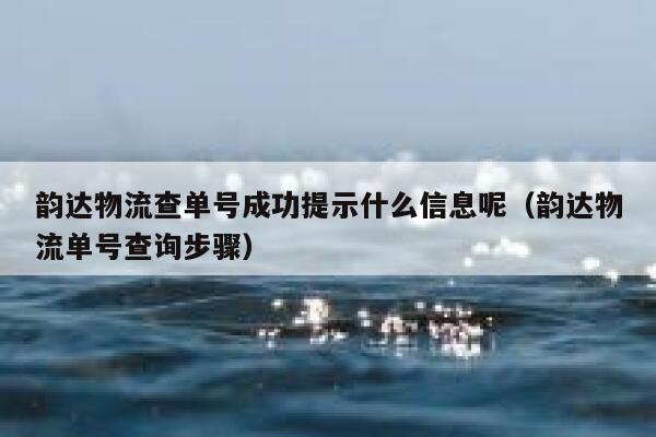 韵达物流查单号成功提示什么信息呢（韵达物流单号查询步骤） 第1张