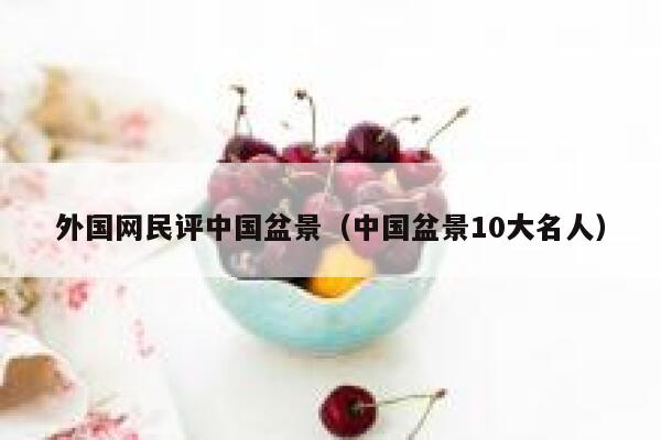 外国网民评中国盆景（中国盆景10大名人） 第1张