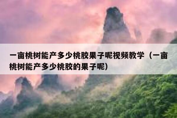 一亩桃树能产多少桃胶果子呢视频教学(一亩桃树能产多少桃胶的果子呢) 第1张 一亩桃树能产多少桃胶果子呢视频教学(一亩桃树能产多少桃胶的果子呢) 第1张