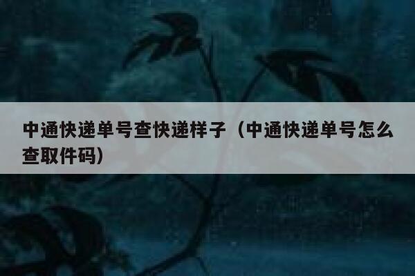 中通快递单号查快递样子（中通快递单号怎么查取件码） 第1张