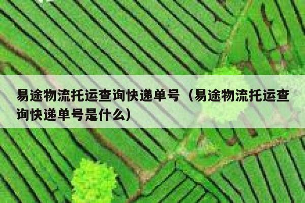 易途物流托运查询快递单号（易途物流托运查询快递单号是什么） 第1张