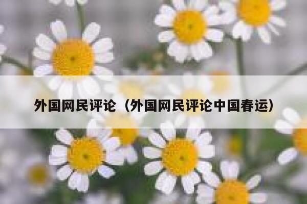外国网民评论（外国网民评论中国春运） 第1张