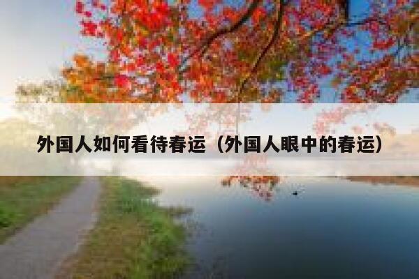 外国人如何看待春运（外国人眼中的春运） 第1张