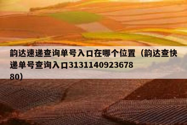 韵达速递查询单号入口在哪个位置（韵达查快递单号查询入口313114092367880） 第1张