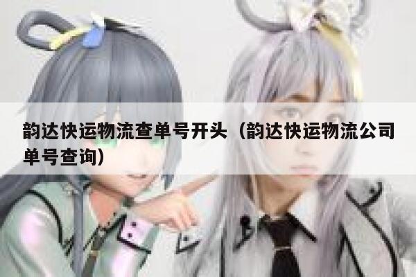 韵达快运物流查单号开头（韵达快运物流公司单号查询） 第1张