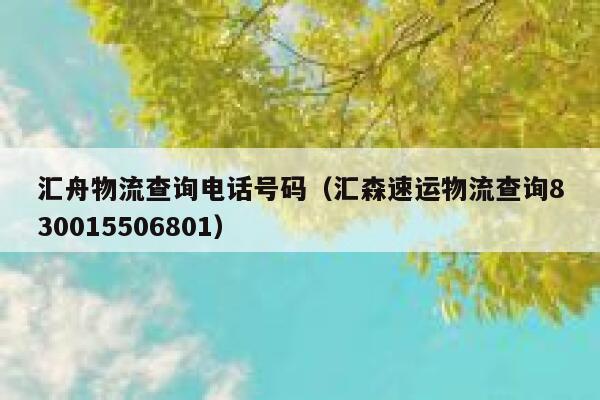 汇舟物流查询电话号码（汇森速运物流查询830015506801） 第1张