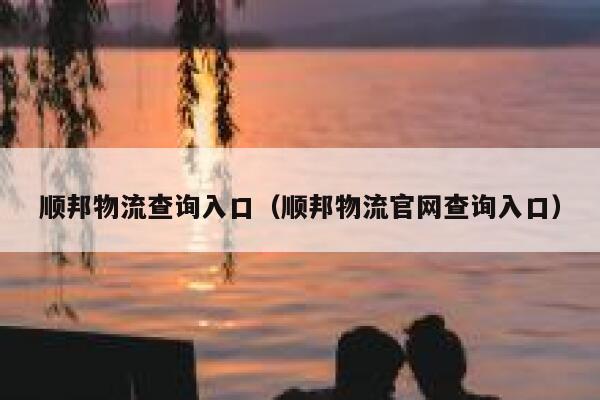 顺邦物流查询入口（顺邦物流官网查询入口） 第1张