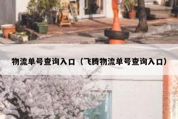 物流单号查询入口（飞腾物流单号查询入口） 第1张