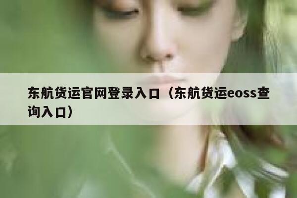 东航货运官网登录入口（东航货运eoss查询入口） 第1张