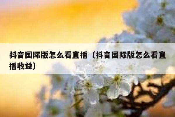 抖音国际版怎么看直播（抖音国际版怎么看直播收益） 第1张