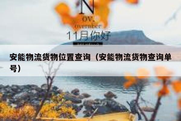 安能物流货物位置查询（安能物流货物查询单号） 第1张