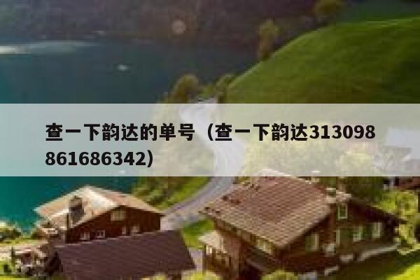 查一下韵达的单号（查一下韵达313098861686342） 第1张