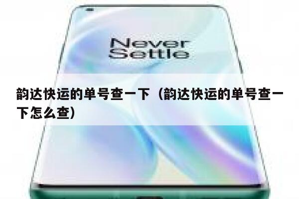 韵达快运的单号查一下（韵达快运的单号查一下怎么查） 第1张