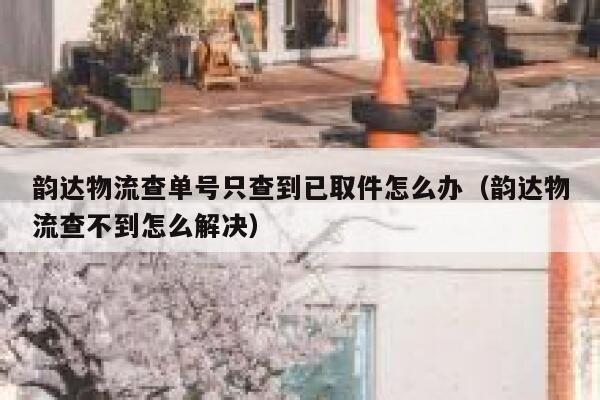 韵达物流查单号只查到已取件怎么办（韵达物流查不到怎么解决） 第1张