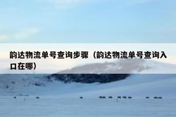 韵达物流单号查询步骤(韵达物流单号查询入口在哪) 第1张 韵达物流单号查询步骤(韵达物流单号查询入口在哪) 第1张