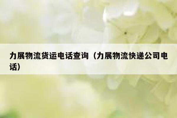 力展物流货运电话查询（力展物流快递公司电话） 第1张