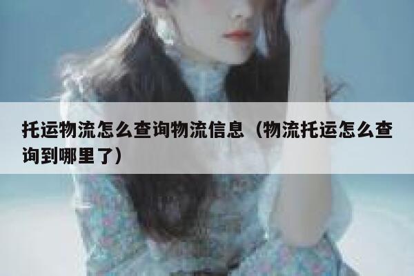 托运物流怎么查询物流信息(物流托运怎么查询到哪里了) 第1张 托运物流怎么查询物流信息(物流托运怎么查询到哪里了) 第1张