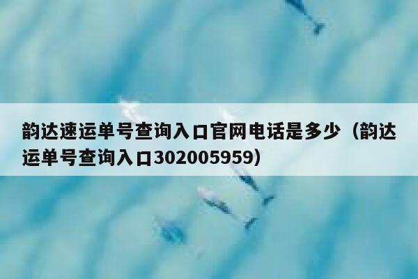 韵达速运单号查询入口官网电话是多少(韵达运单号查询入口302005959) 第1张 韵达速运单号查询入口官网电话是多少(韵达运单号查询入口302005959) 第1张