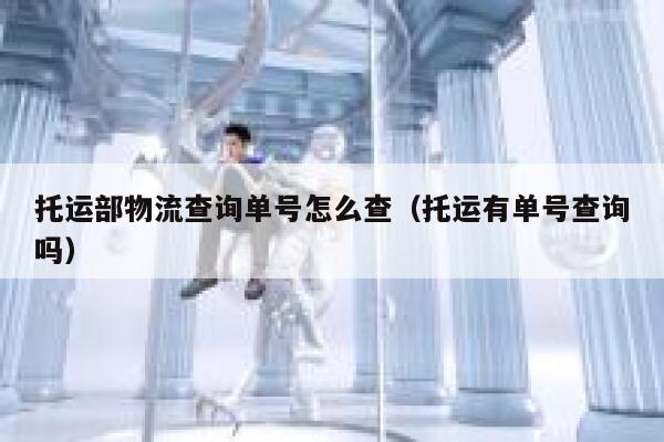 托运部物流查询单号怎么查(托运有单号查询吗) 第1张 托运部物流查询单号怎么查(托运有单号查询吗) 第1张