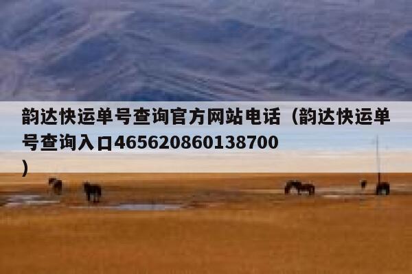 韵达快运单号查询官方网站电话（韵达快运单号查询入口465620860138700） 第1张