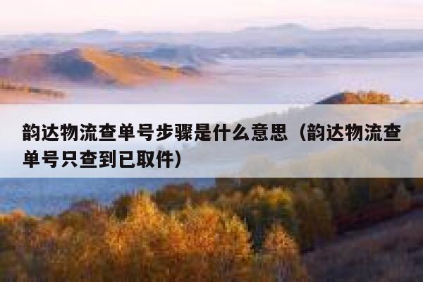 韵达物流查单号步骤是什么意思（韵达物流查单号只查到已取件） 第1张