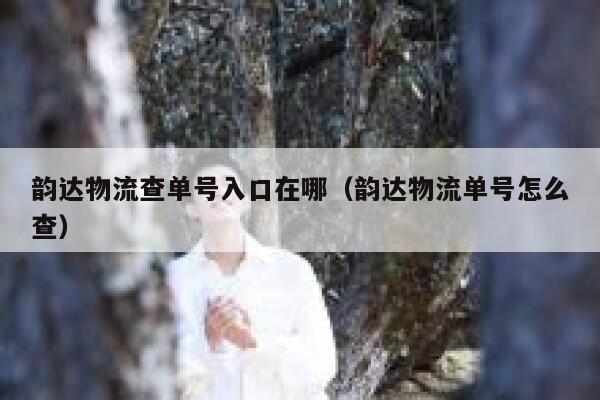 韵达物流查单号入口在哪（韵达物流单号怎么查） 第1张