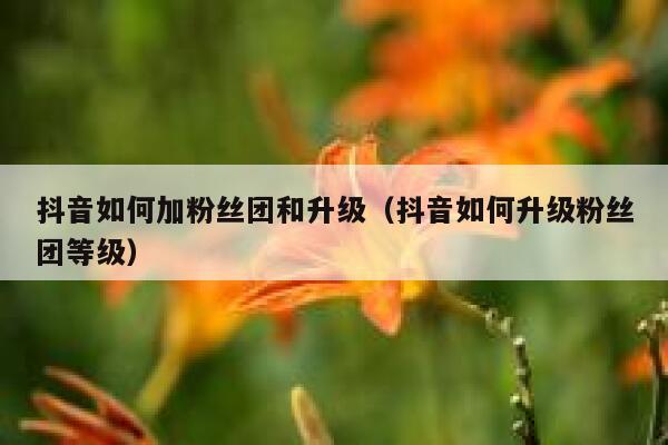 抖音如何加粉丝团和升级(抖音如何升级粉丝团等级) 第1张 抖音如何加粉丝团和升级(抖音如何升级粉丝团等级) 第1张
