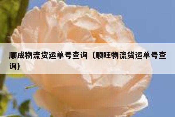 顺成物流货运单号查询(顺旺物流货运单号查询) 第1张 顺成物流货运单号查询(顺旺物流货运单号查询) 第1张