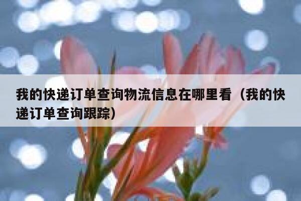 我的快递订单查询物流信息在哪里看(我的快递订单查询跟踪) 第1张 我的快递订单查询物流信息在哪里看(我的快递订单查询跟踪) 第1张