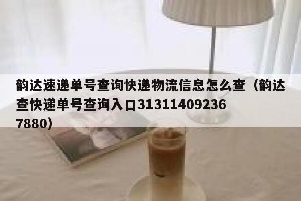 韵达速递单号查询快递物流信息怎么查（韵达查快递单号查询入口313114092367880） 第1张