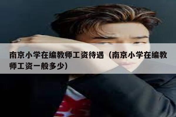 南京小学在编教师工资待遇（南京小学在编教师工资一般多少） 第1张
