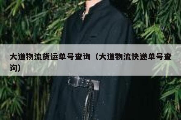 大道物流货运单号查询(大道物流快递单号查询) 第1张 大道物流货运单号查询(大道物流快递单号查询) 第1张