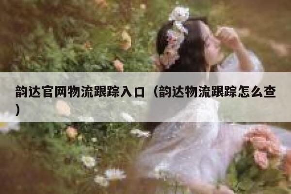 韵达官网物流跟踪入口（韵达物流跟踪怎么查） 第1张