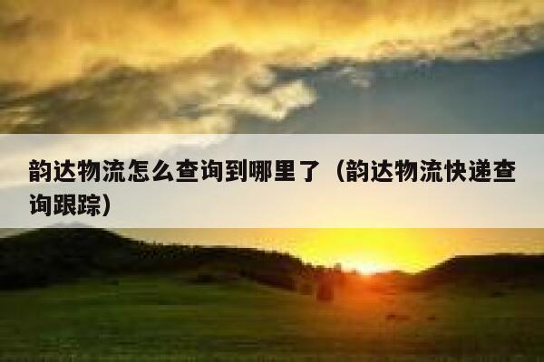 韵达物流怎么查询到哪里了（韵达物流快递查询跟踪） 第1张