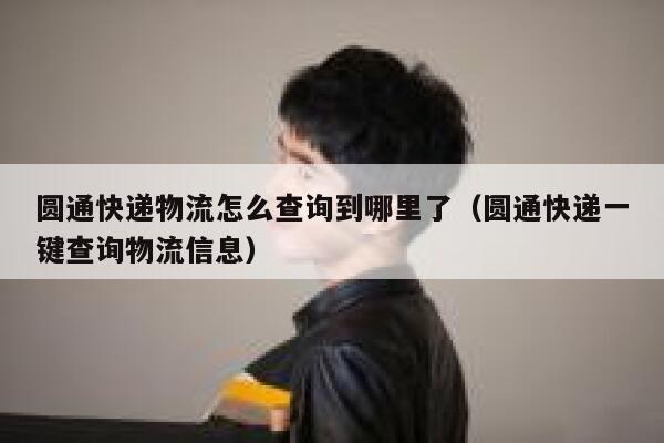 圆通快递物流怎么查询到哪里了（圆通快递一键查询物流信息） 第1张
