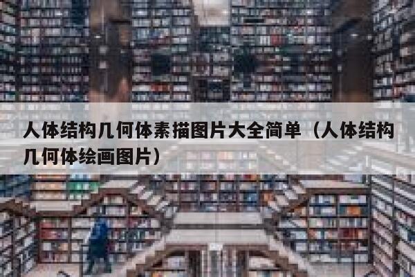 人体结构几何体素描图片大全简单（人体结构几何体绘画图片） 第1张