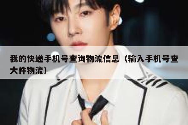 我的快递手机号查询物流信息（输入手机号查大件物流） 第1张