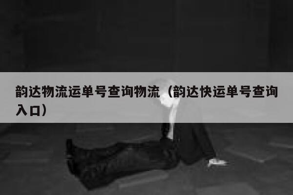 韵达物流运单号查询物流（韵达快运单号查询入口） 第1张