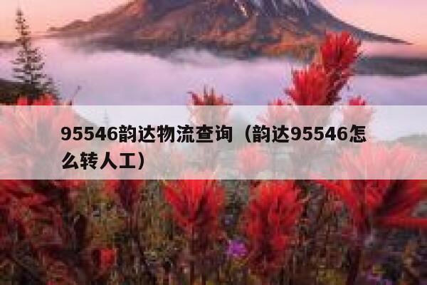 95546韵达物流查询(韵达95546怎么转人工) 第1张 95546韵达物流查询(韵达95546怎么转人工) 第1张