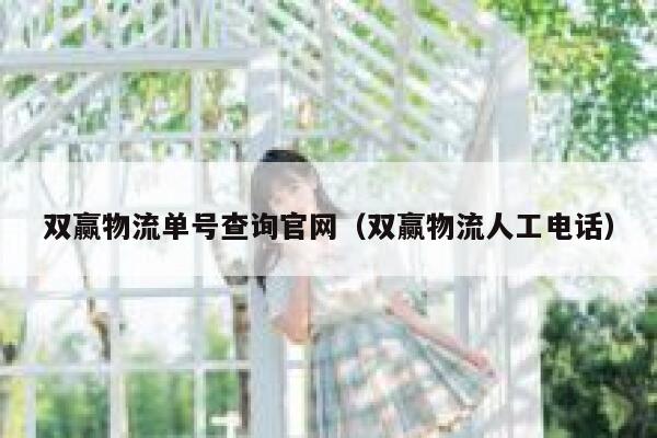双赢物流单号查询官网(双赢物流人工电话) 第1张 双赢物流单号查询官网(双赢物流人工电话) 第1张