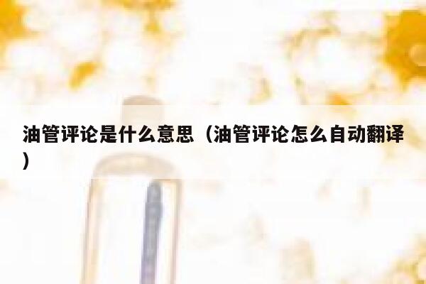 油管评论是什么意思(油管评论怎么自动翻译) 第1张 油管评论是什么意思(油管评论怎么自动翻译) 第1张